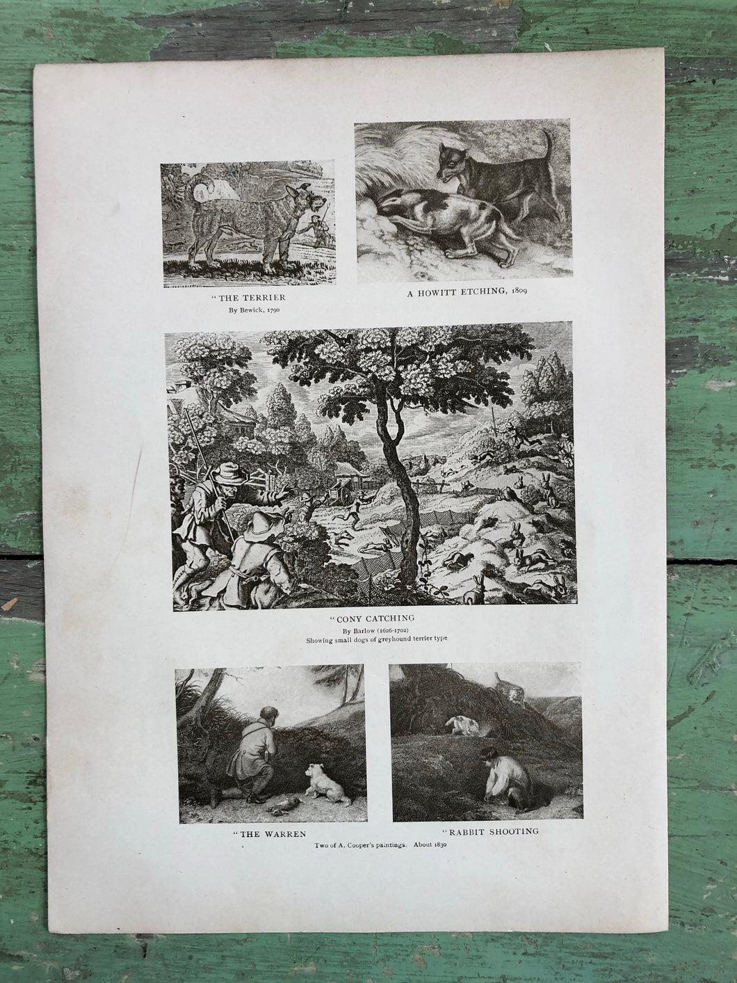 Print from “The Dog Book” by James Watson
