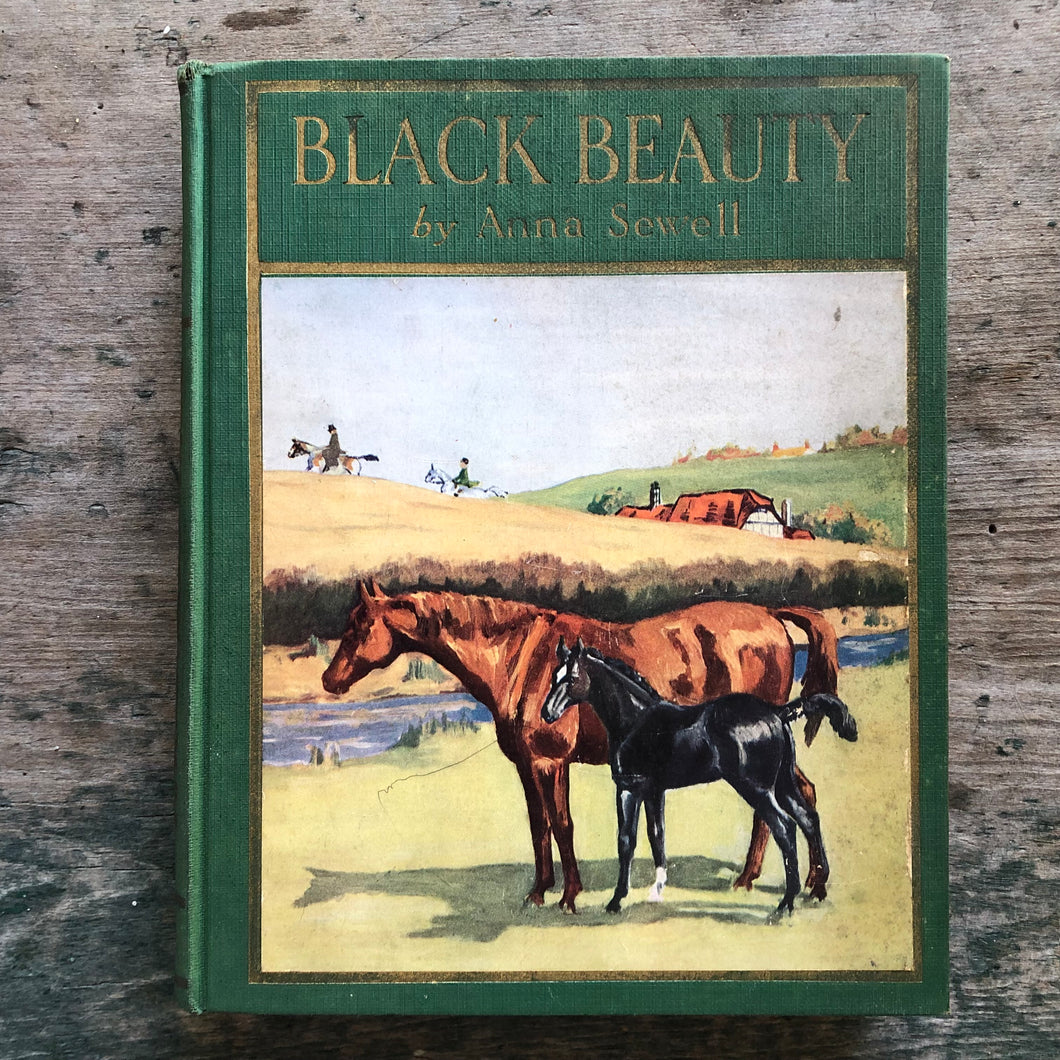 Black Beauty by Anna Sewell. Illustrated by Jessica S. McMann