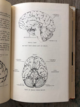Load image into Gallery viewer, Alpha Brain Waves. by Jodi Lawrence
