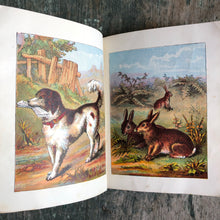 Load image into Gallery viewer, Our Pets. Uncle Dick’s Series
