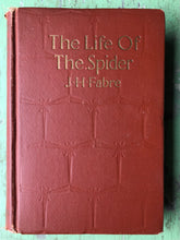 Load image into Gallery viewer, The Life of the Spider. by J. Henri Fabre
