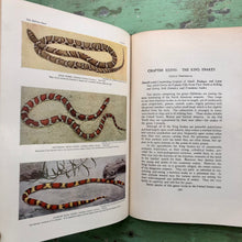 Load image into Gallery viewer, The Reptile Book by Raymond Lee Ditmars
