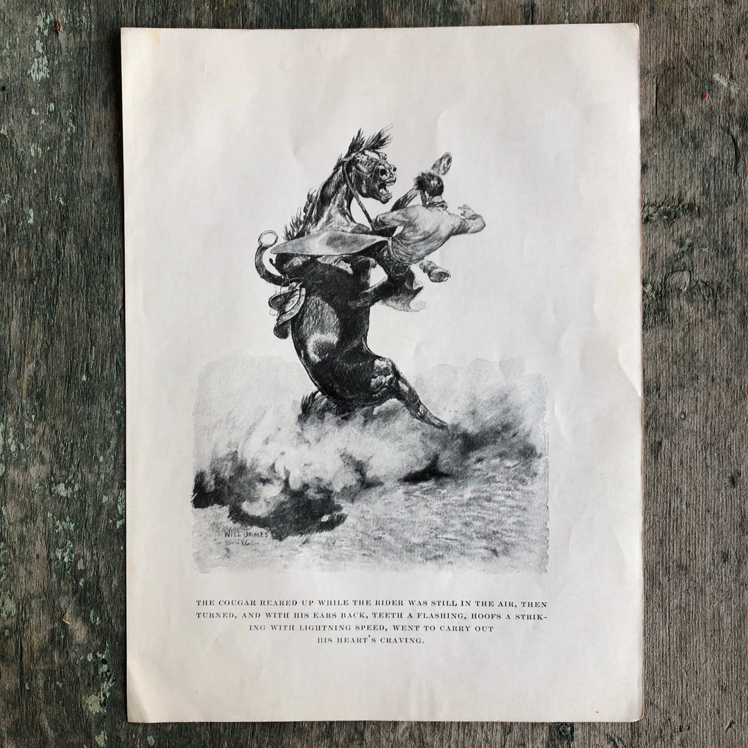 Print from “Smoky: The Cow Horse” written and illustrated by Will James