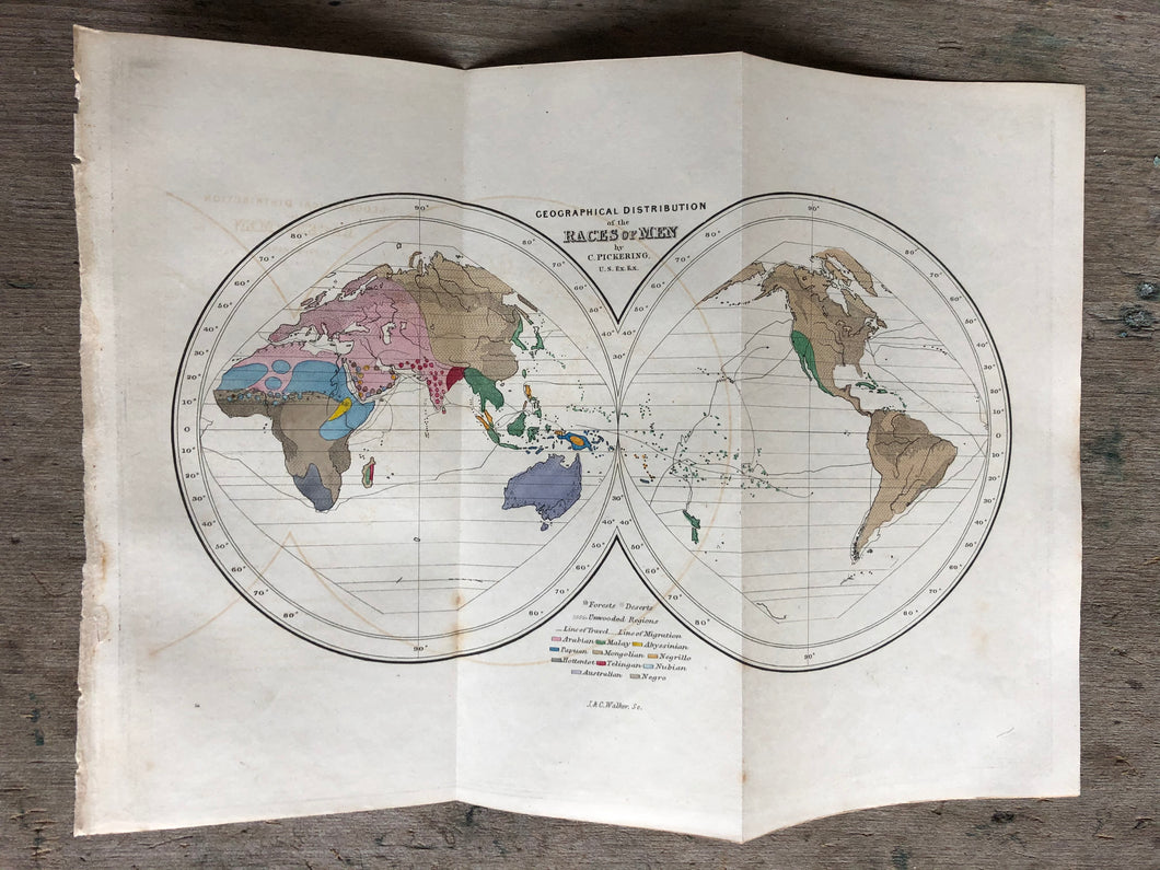 Hand-Colored Fold Out Map from “The Races of Man; and Their Geographical Distribution.” By Charles Pickering