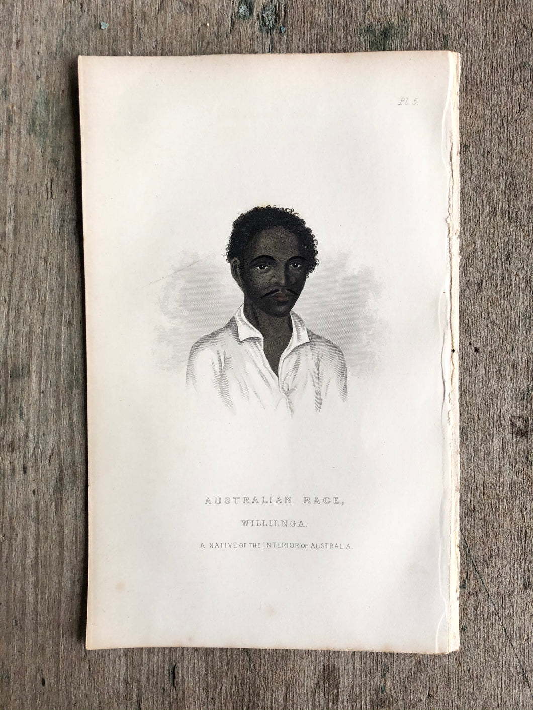 Hand-Colored Plate from “The Races of Man; and Their Geographical Distribution.” By Charles Pickering