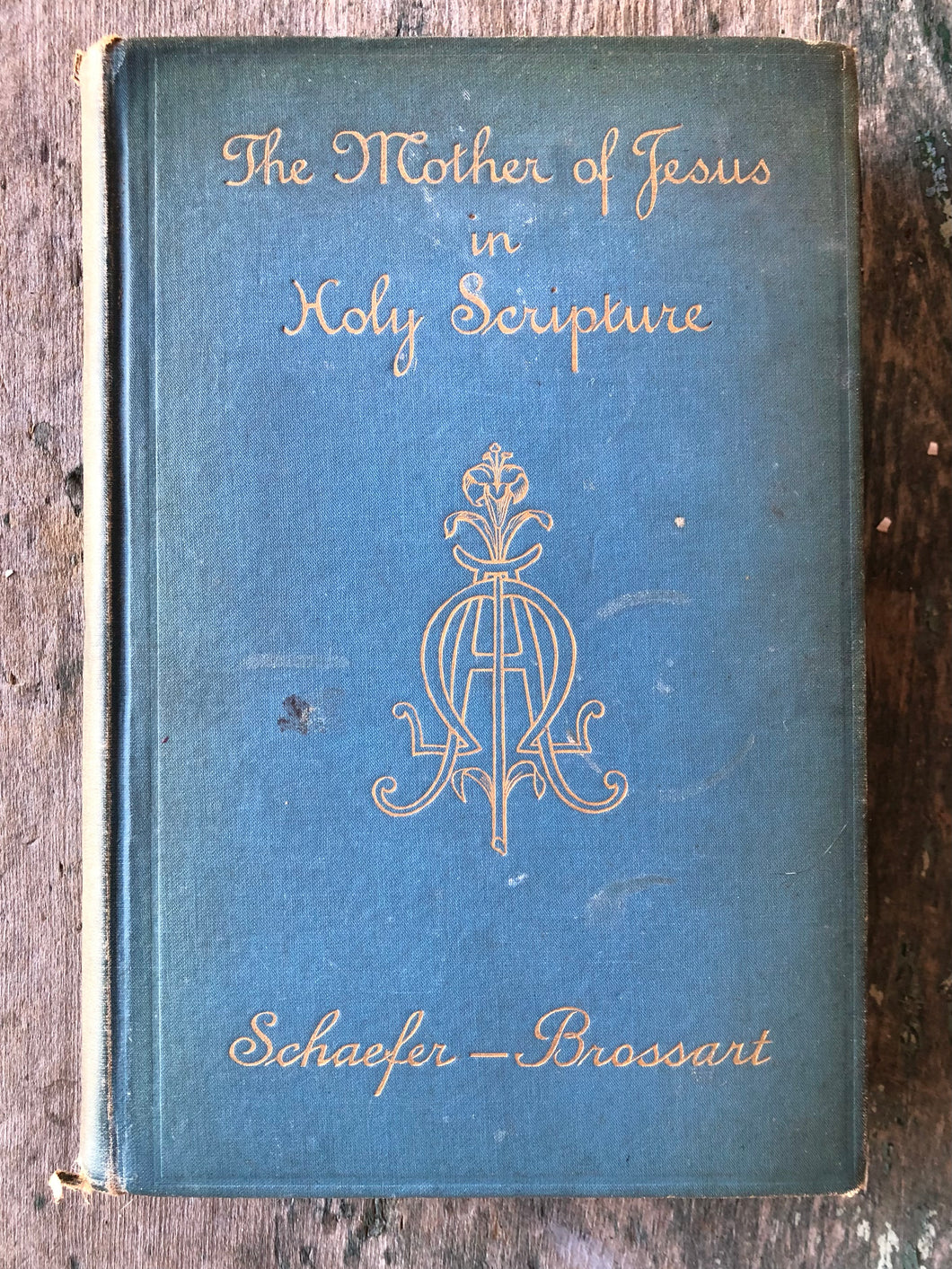 The Mother of Jesus in Holy Scripture: Biblical-Theological Addresses by The Right Reverend Dr. Aloys Schaefer