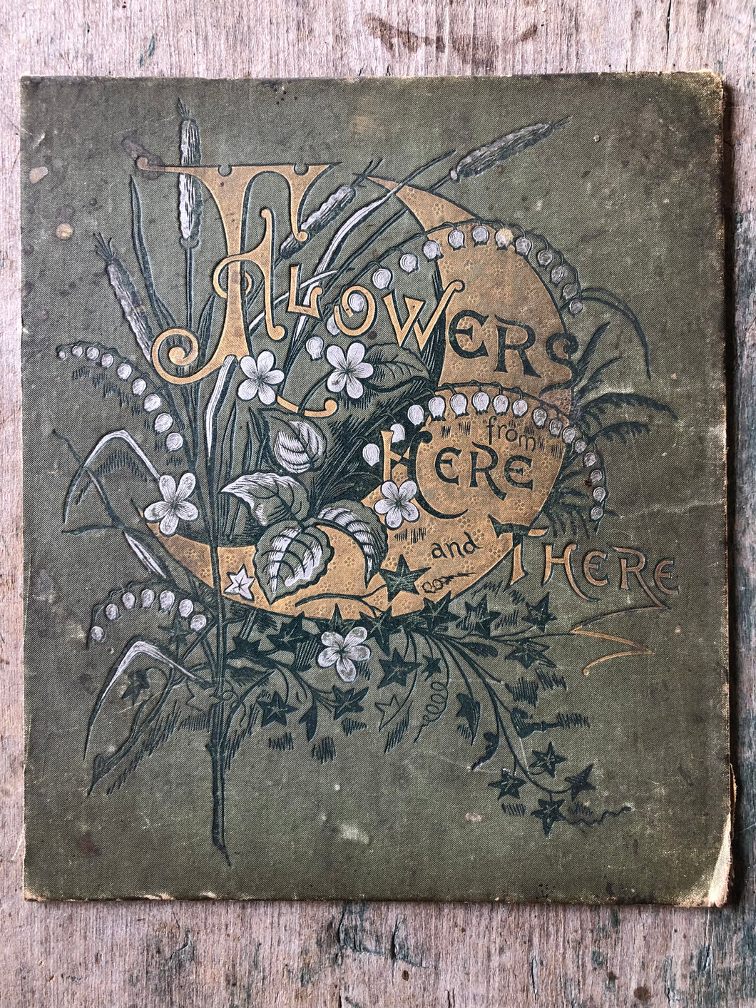 Cover of “Flowers from Here and There”