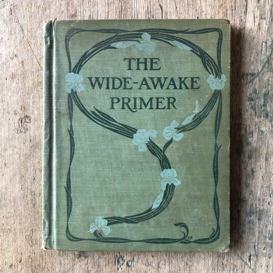 The Wide Awake Primer by Clara Murray