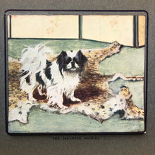 Load image into Gallery viewer, My Book of Little Dogs. Drawings by G. Vernon Stokes. Letterpress by F. Townend Barton
