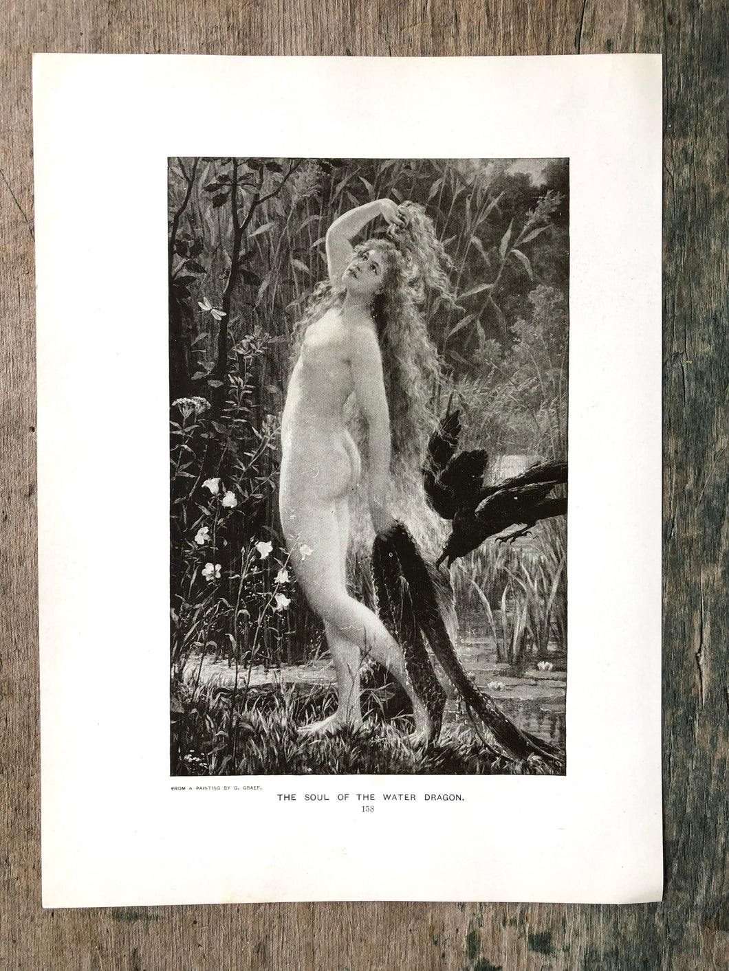 The Soul of the Water Dragon reproduced from a painting by G. Graef