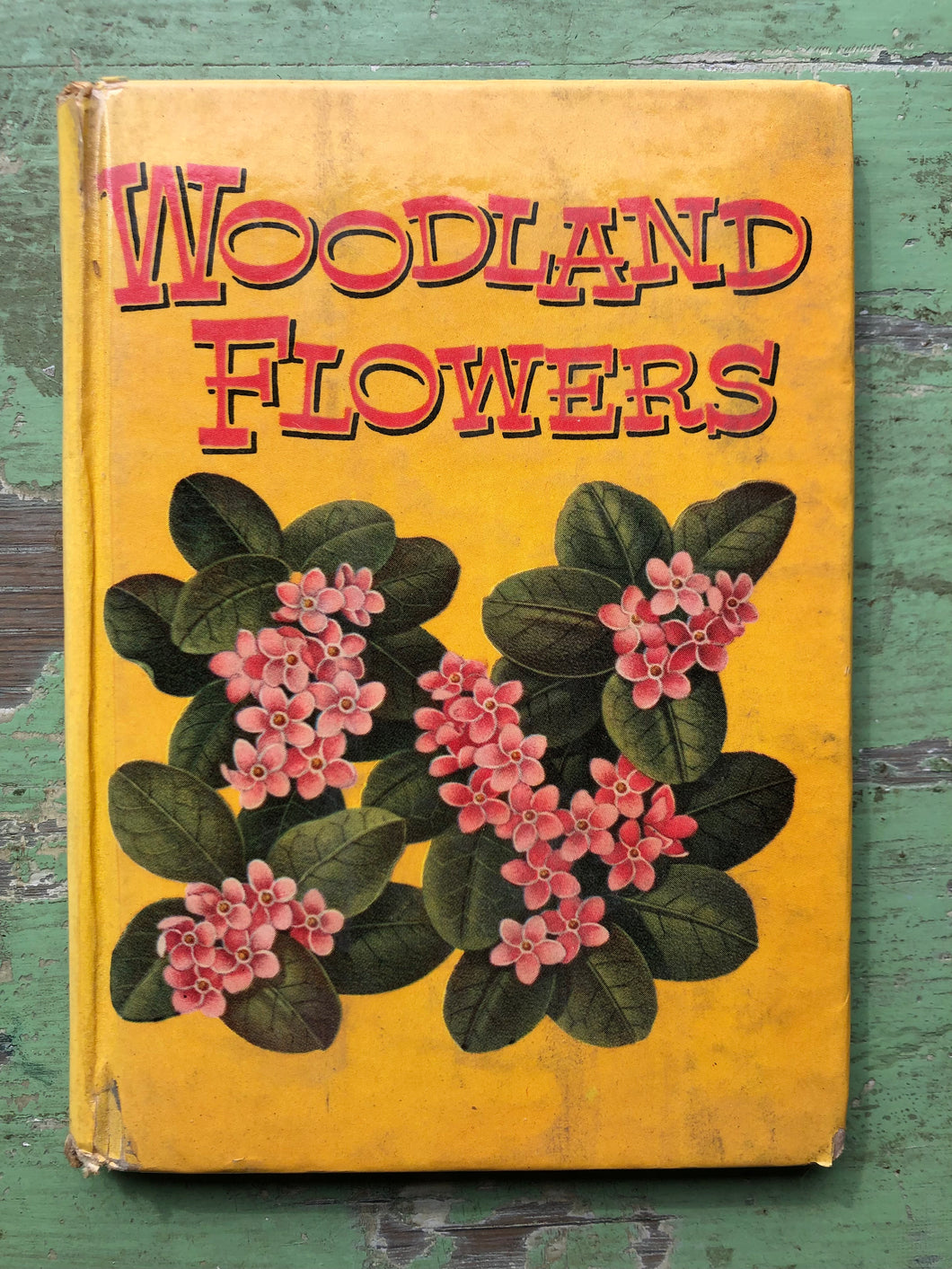 Woodland Flowers. by T. H. Everett