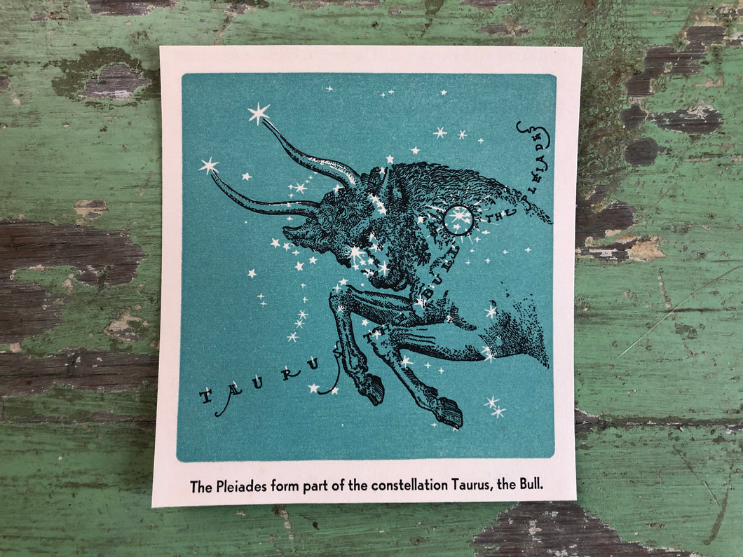 Print from “All About the Stars” by Anne Terry White and Illustrated by Martin Bileck