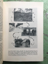 Load image into Gallery viewer, History of the Okefenokee Swamp. by A. S. McQueen and Hamp Mizell
