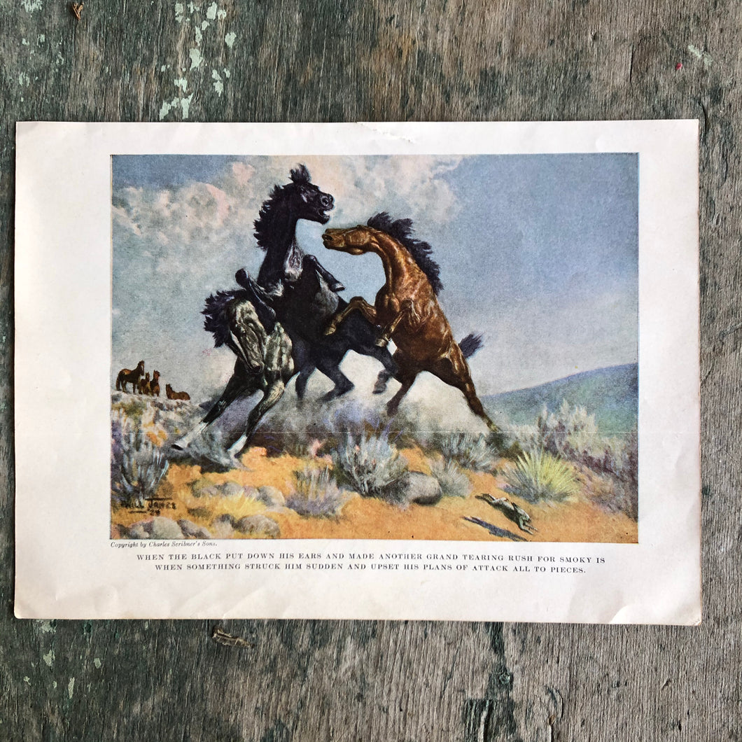 Print from “Smoky: The Cow Horse” written and illustrated by Will James