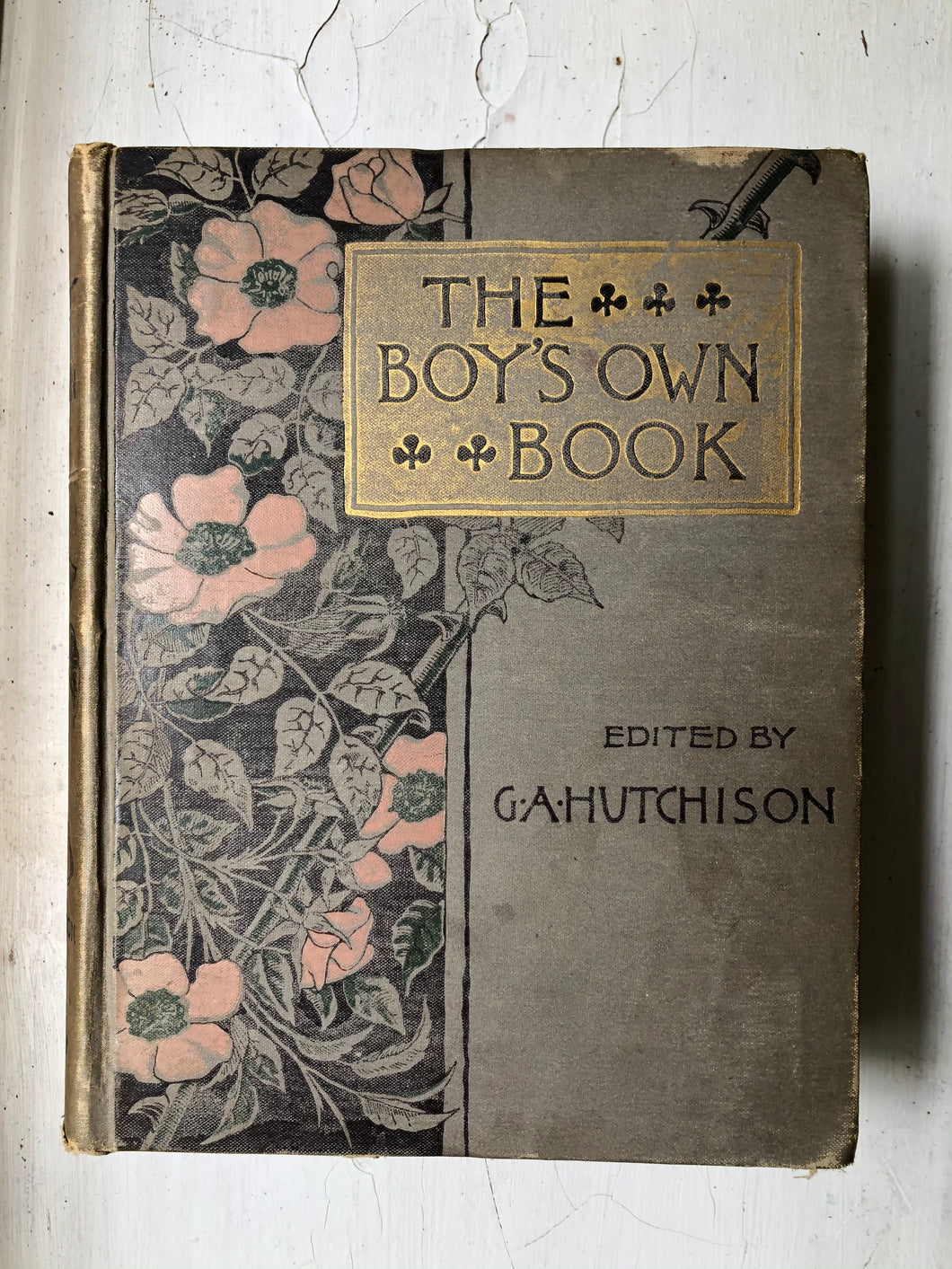 The Boy’s Own Book of Indoor Games and Recreations. Edited by G. A. Hutchison