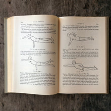 Load image into Gallery viewer, Human Kinetics and Analysing Body Movements by T. McClurg Anderson

