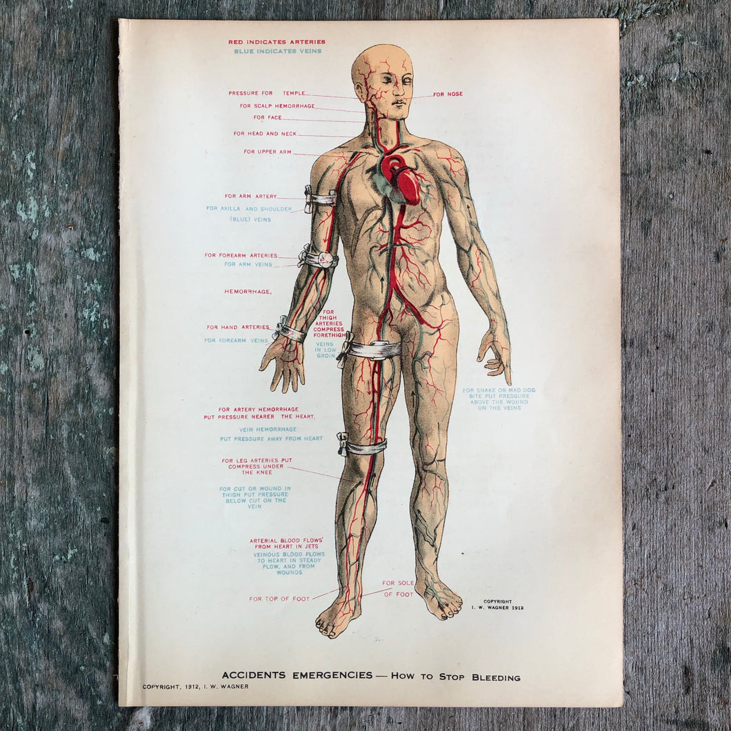 Print from “Domestic Medical Practice: A Household Adviser in the Treatment of Diseases, Arranged for Family Use”