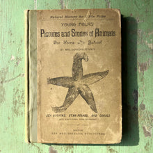 Load image into Gallery viewer, Young Folks&#39; Pictures and Stories of Animals for Home and School: Sea-Urchins, Star-Fishes, and Corals. by Mrs. Sanborn Tenney
