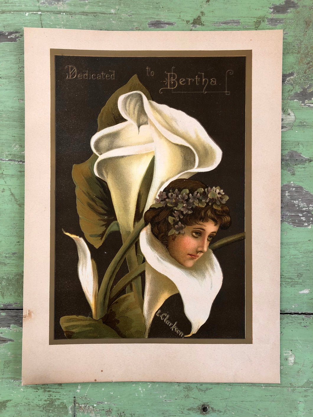 Plate from “Violet among the Lilies” by L. Clarkson