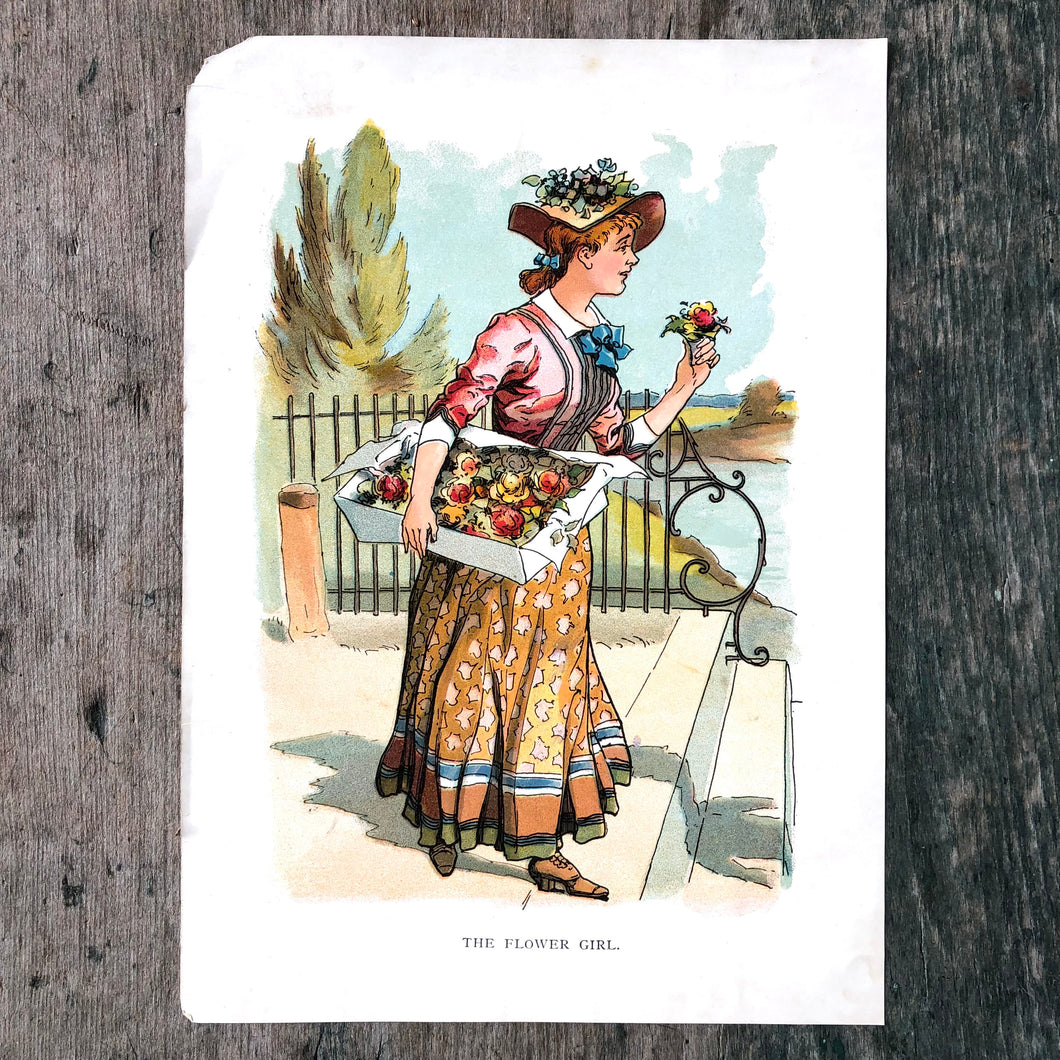 Color Print from Palette Painting Book