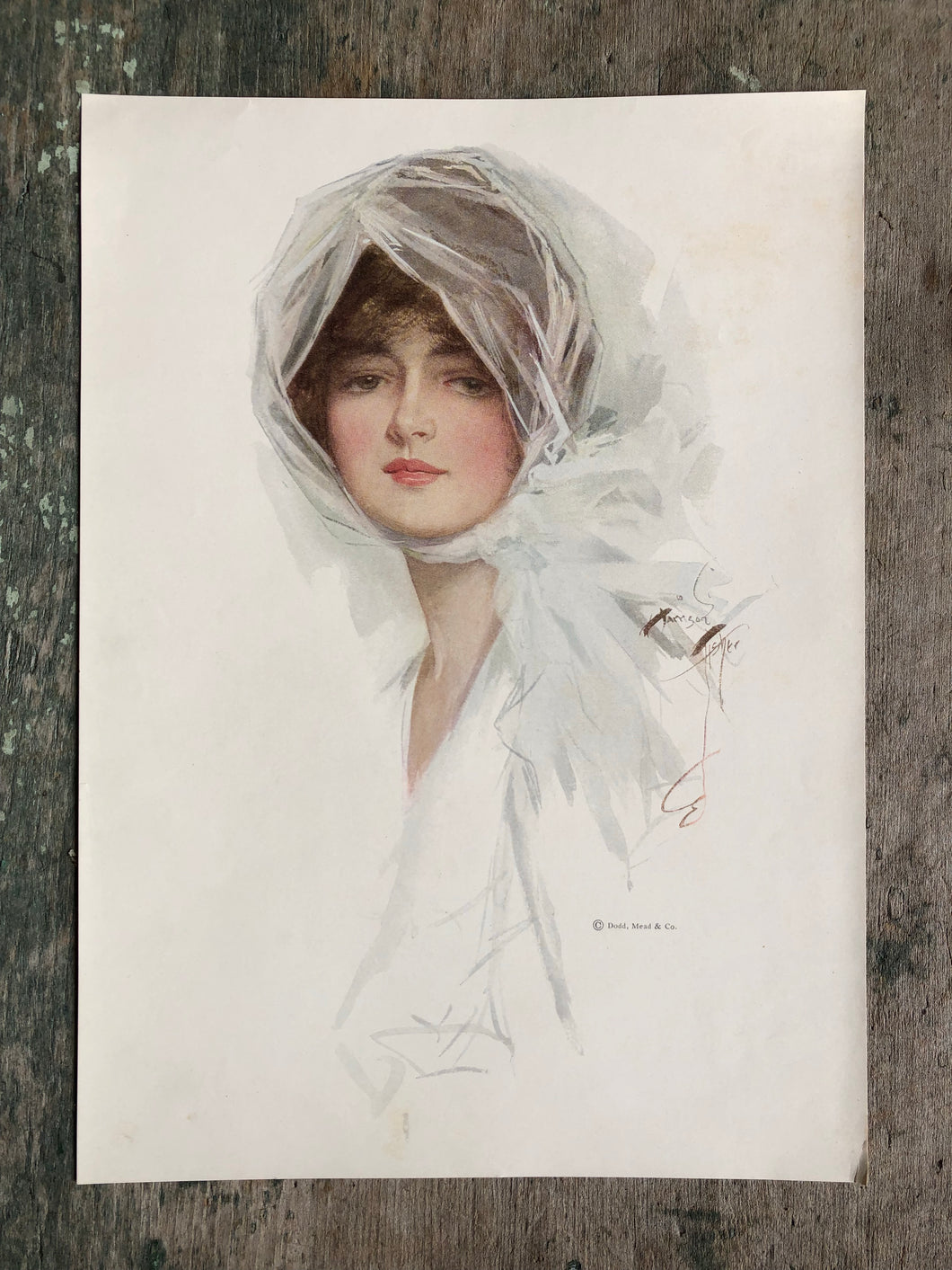 Print from Harrison Fisher Girls