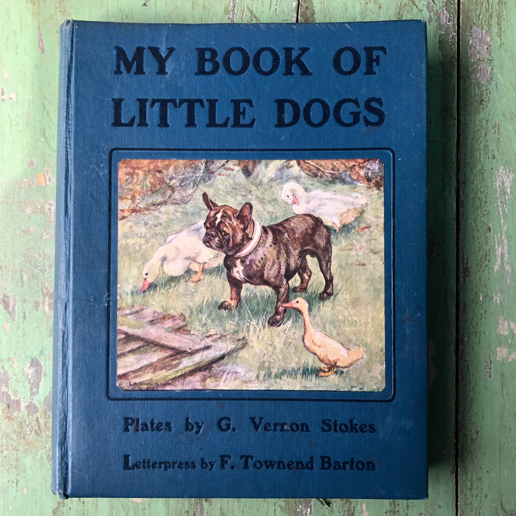 My Book of Little Dogs. Drawings by G. Vernon Stokes. Letterpress by F. Townend Barton