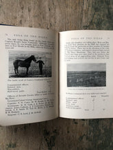 Load image into Gallery viewer, Saga of the Hills: An Illustrated Story of the Last Frontier Town. by S. Goodale Price
