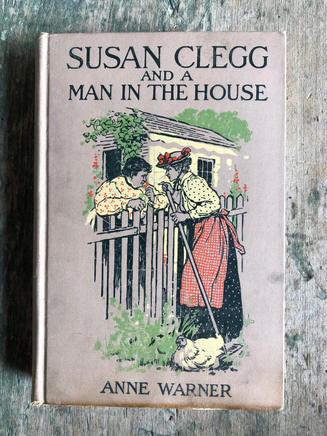 Susan Clegg and a Man in the House by Anne Warner