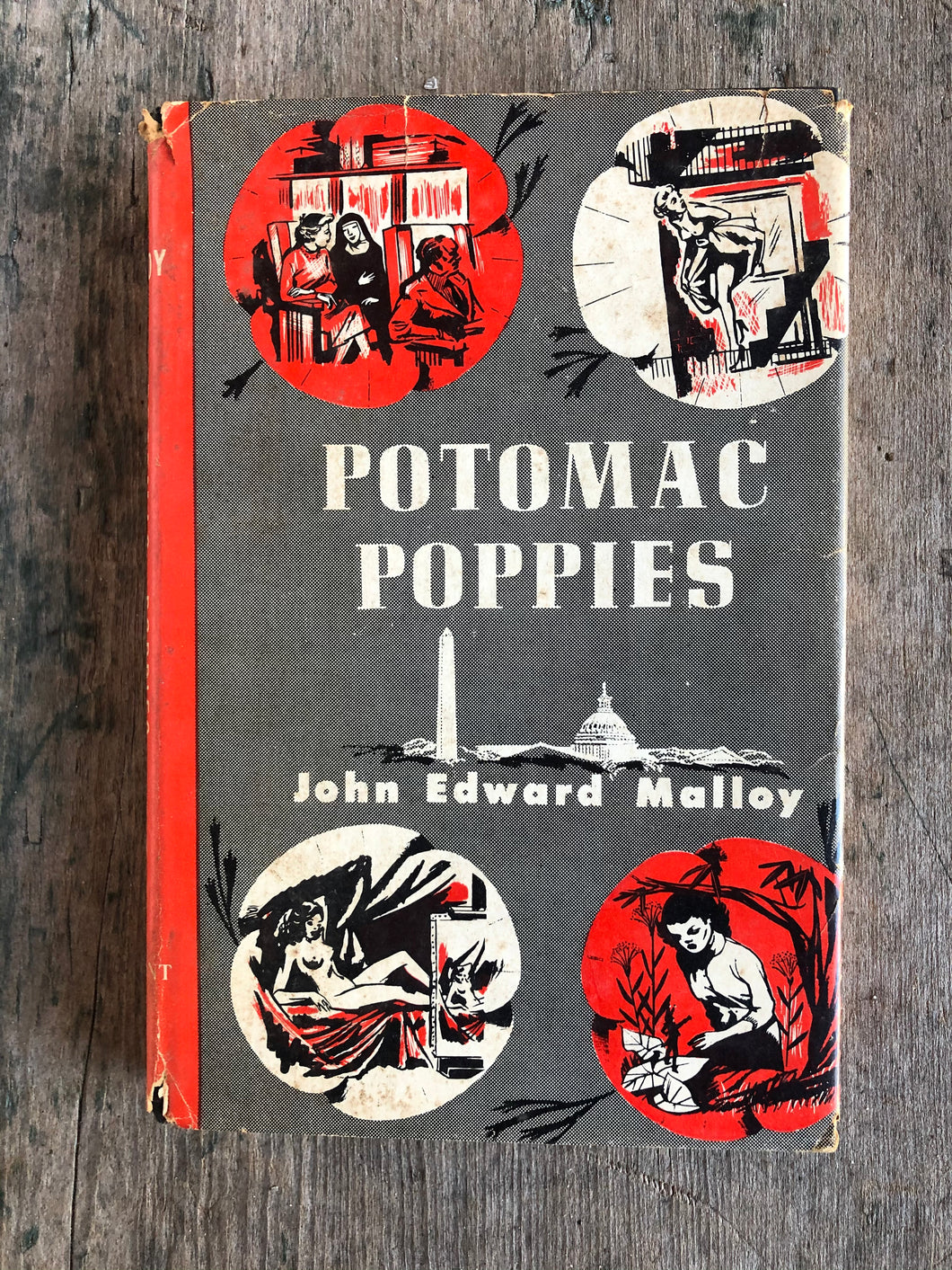 Potomac Poppies by John Edward Malloy