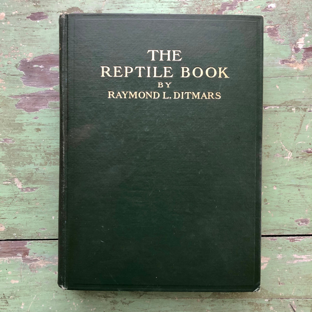 The Reptile Book by Raymond Lee Ditmars