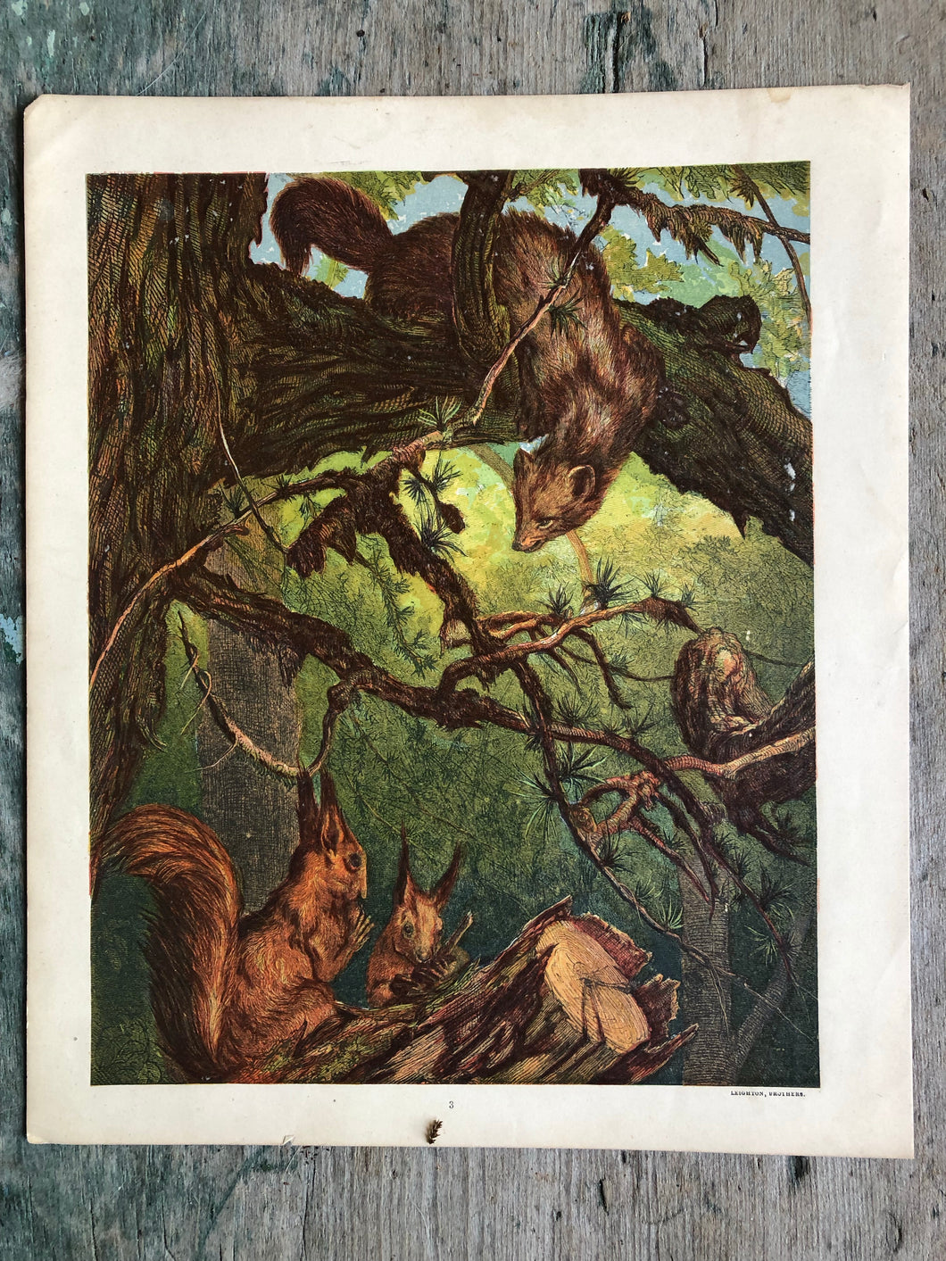Print from Old Friends and New Faces