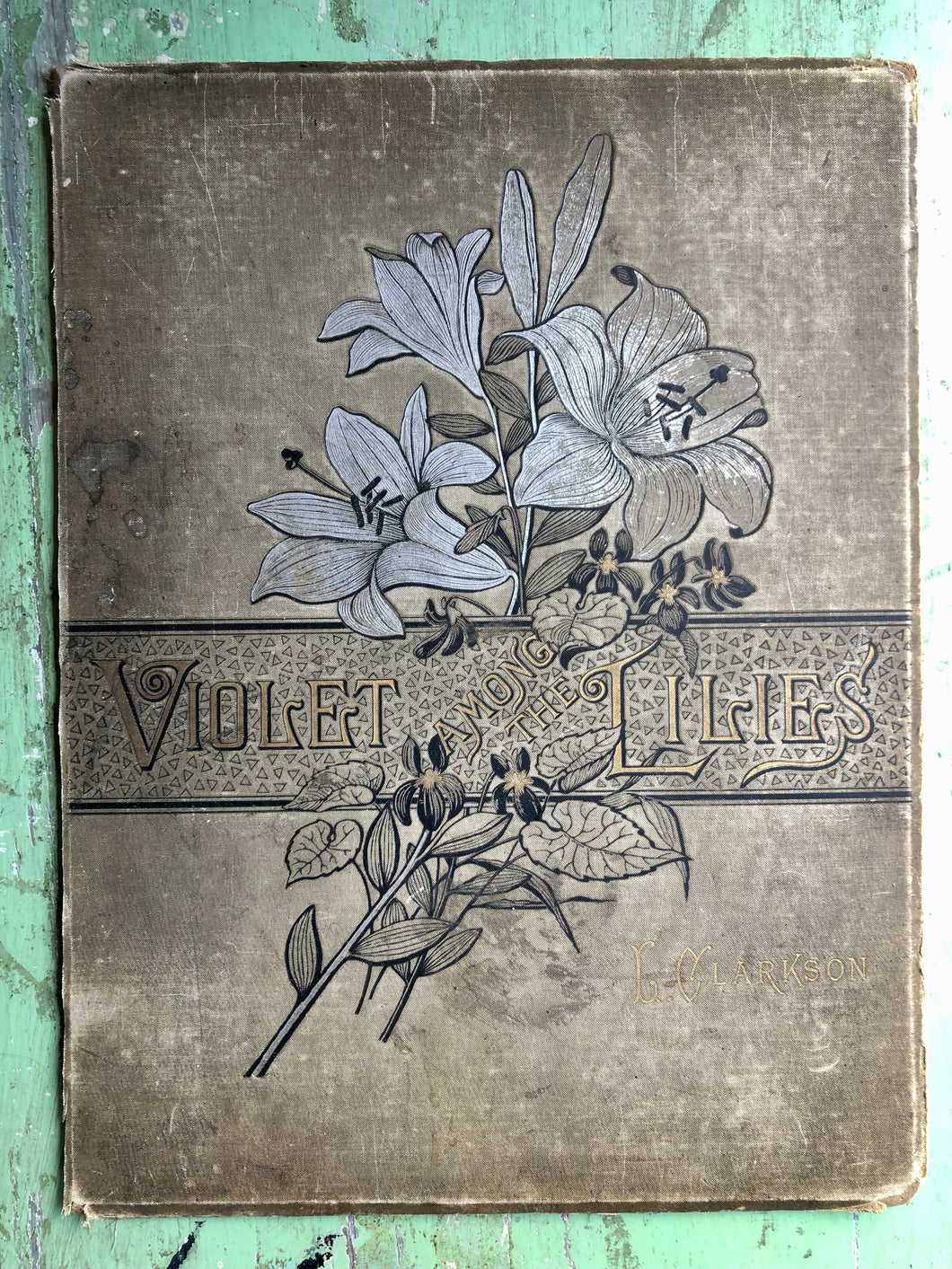 Cover of “Violets Among the Lilies”