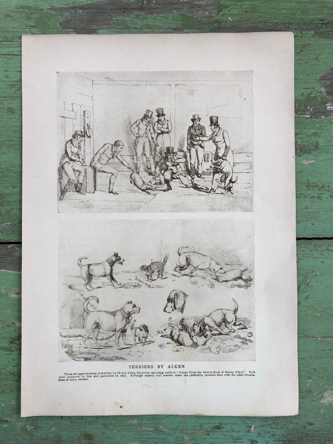 Print from “The Dog Book” by James Watson
