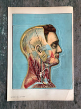 Load image into Gallery viewer, Flap Print from “Domestic Medical Practice: A Household Adviser in the Treatment of Diseases, Arranged for Family Use”
