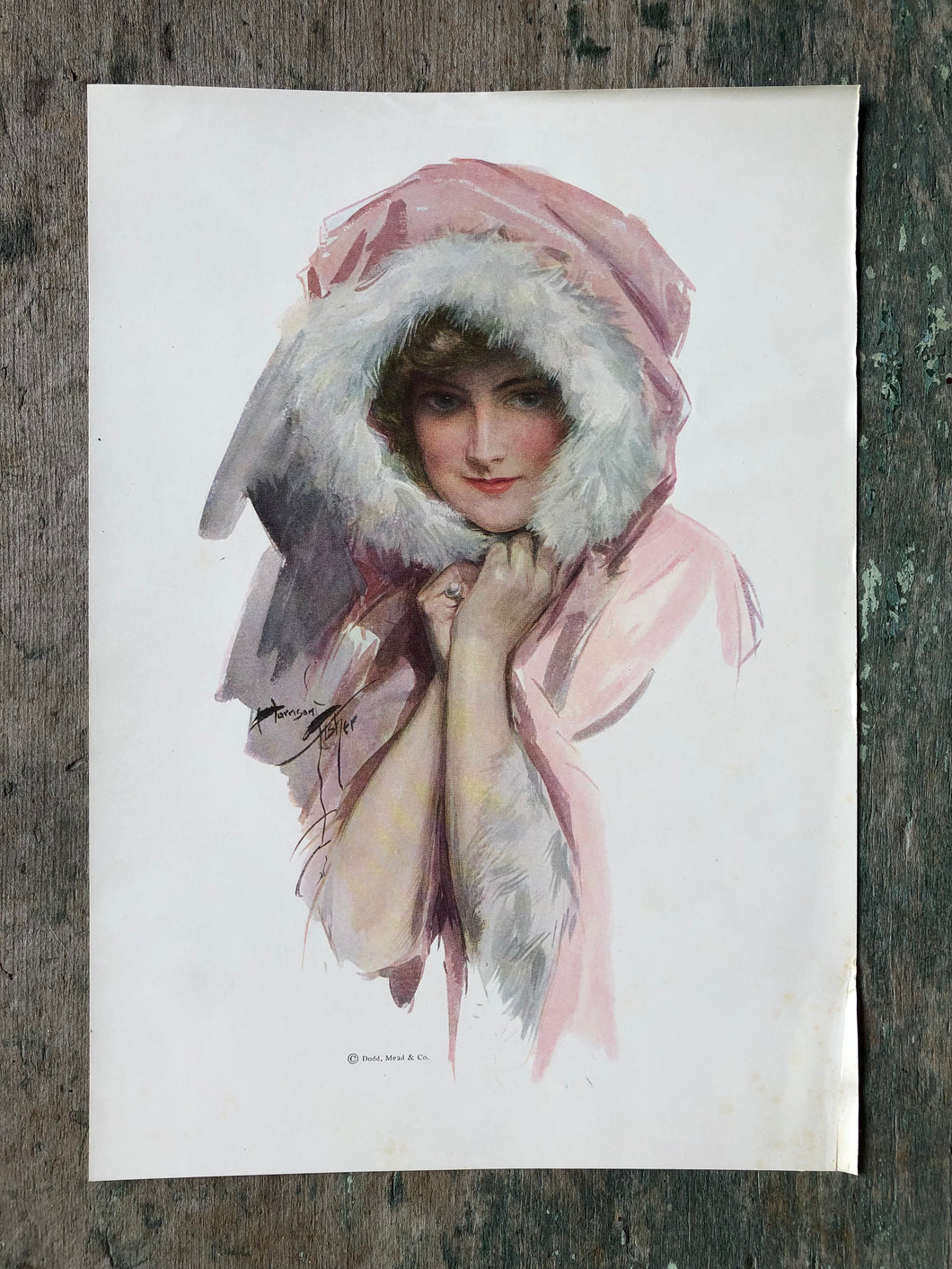 Print from Harrison Fisher Girls