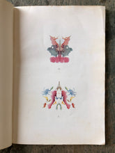 Load image into Gallery viewer, The Rorschach Training Manual. by James A. Brussels, Kenneth S. Hitch, and Zygmunt A. Piotrowski

